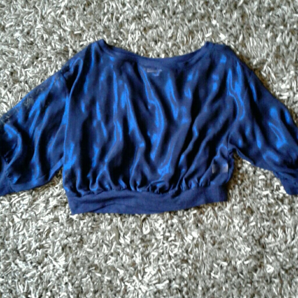 Metallic Sheer Crop Top Blouse